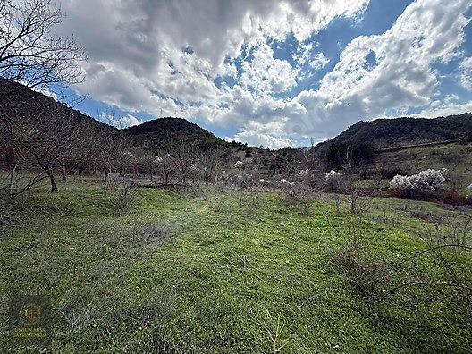 SAKARYA TARAKLI HACIALİLER'DE 442 M2 KONUT İMARLI ARSA - SAKARYA TARAKLI fotoğraf 15