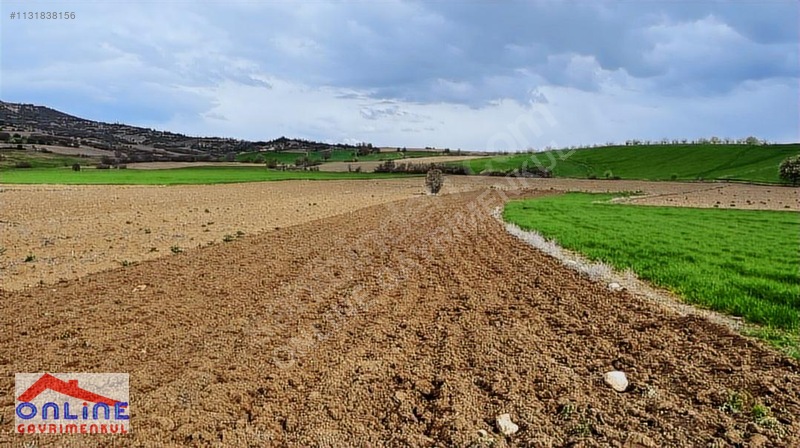 Araç Takaslı - BİLECİK YENİPAZAR fotoğraf 13