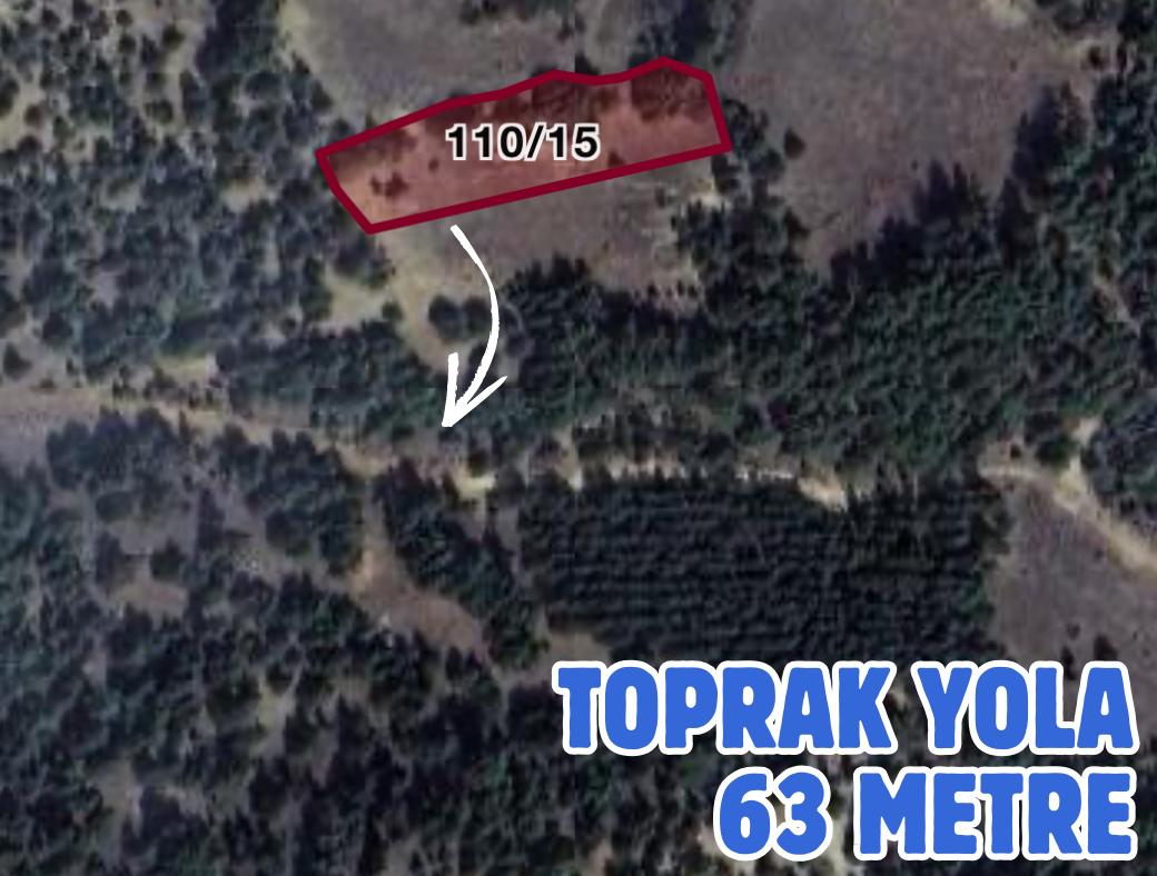 DENİZLİ BOZKURT HAYRETTİN 3000 M² TARLAMIZ SATILIKTIR - DENİZLİ BOZKURT fotoğraf 4
