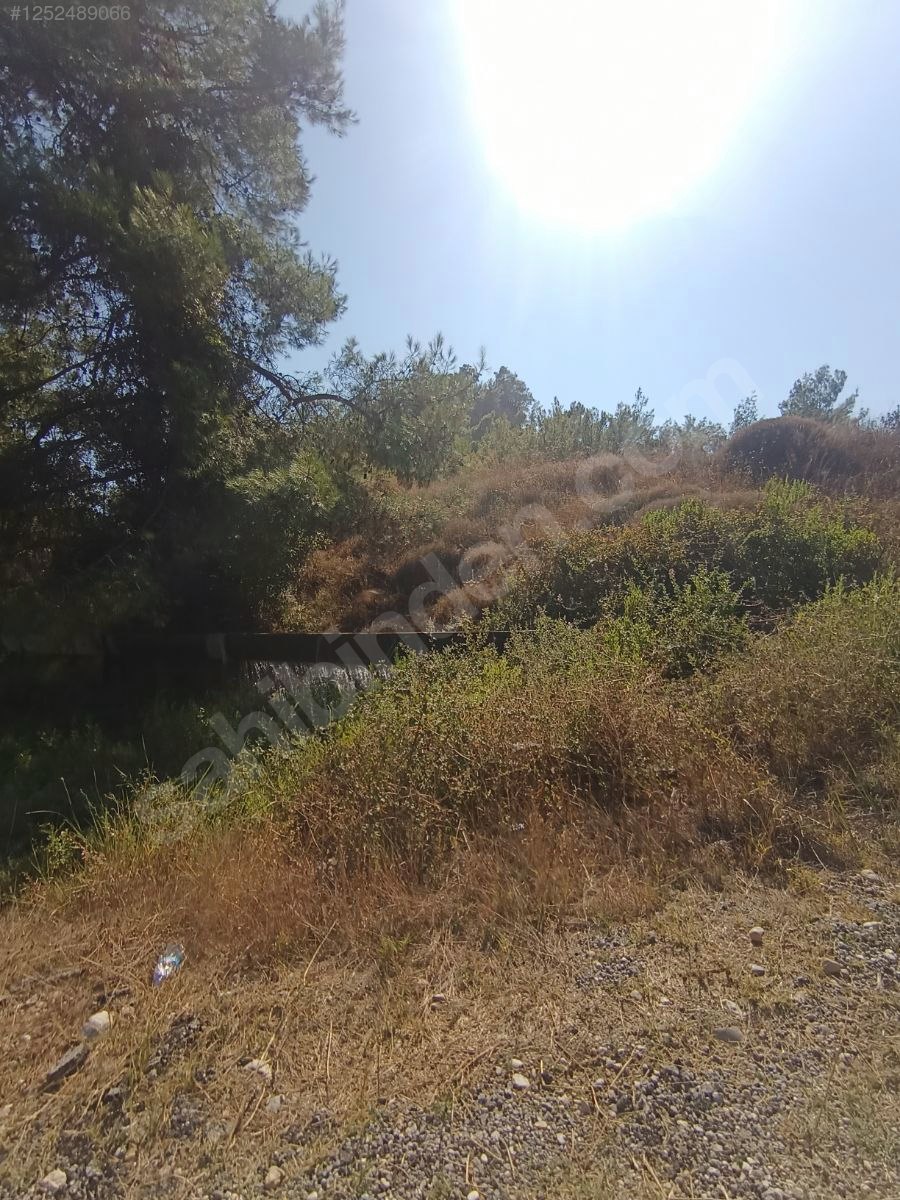 Antalya Konyaaltı Doyran Yayla 1.200 m² Tek Tapu Konyaalti Sahile 30 dk - ANTALYA KONYAALTI fotoğraf 5