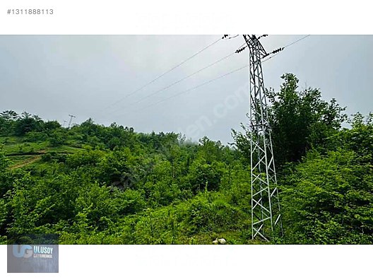 14 DÖNÜM TEK TAPU - BARTIN MERKEZ fotoğraf 16