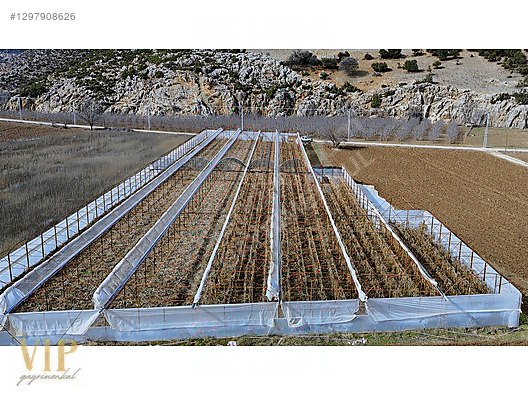 VİP GAYRİMENKUL'den IMIRCIK MAH. ANAYOL CEPHELİ 5.320m² SERA - ANTALYA ELMALI fotoğraf 9