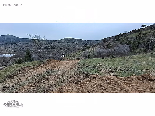 TELEFON FİYATINA ARAZİ VERİYORUZ, 409 M2,RESMİ YOLU VE SUYU VAR! - BİLECİK SÖĞÜT fotoğraf 11