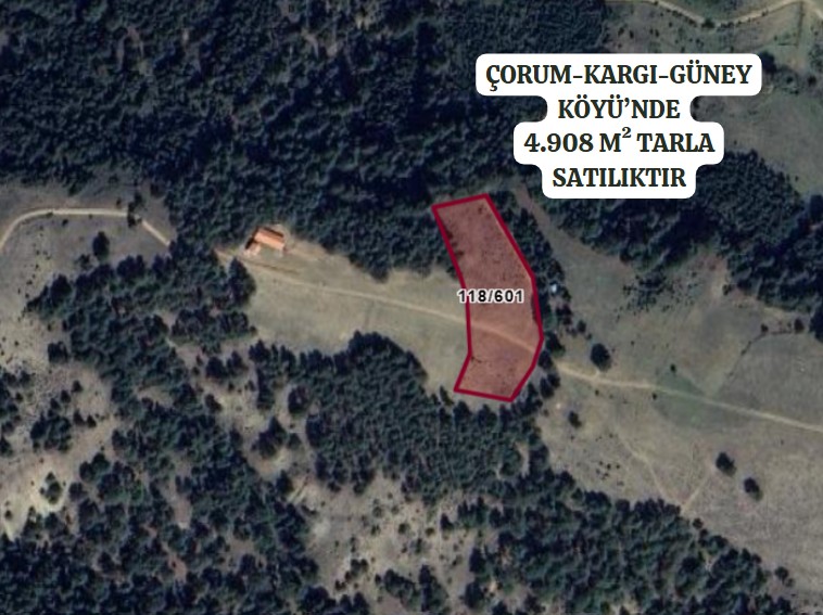 ÇORUM KARGI GÜNEY KÖYÜ’NDE 4.908 M² TARLA SATILIKTIR - ÇORUM KARGI fotoğraf 2