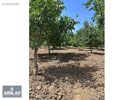 İNEGÖL ÇİTLİ'MAH 11,000m² SATILIK BAKIMLI CEVİZ BAHÇESİ - BURSA İNEGÖL fotoğraf 14