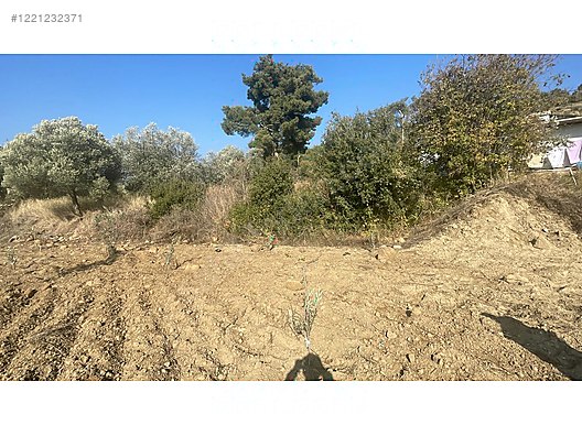 Kisecik Merkezde, Arkasında,Solunda Evler Olan Bahçe Satılık  1.782 m² 