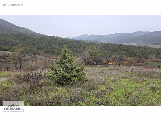 RESMİ YOLLU 800 M2 MANZARALI HOBİ BAHÇESİ - BİLECİK GÖLPAZARI fotoğraf 16