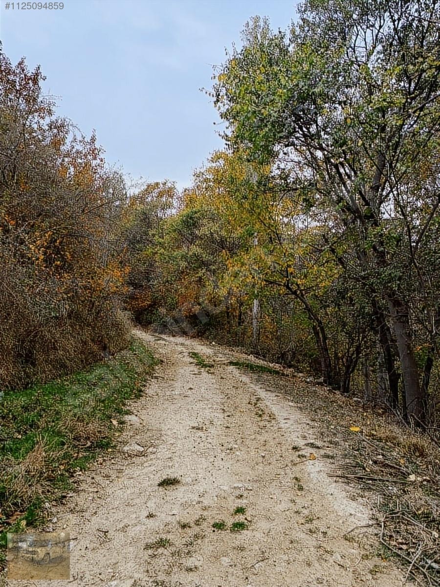 Kemer belenlide kòyiçi arsa bahçe suyu sınırsız sulama - BURDUR KEMER fotoğraf 14