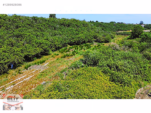 SAKARYA KARASU'DA SATILIK FRSAT KÖY İÇİNDE 635 metre² KUPON ARSA - SAKARYA KARASU fotoğraf 37