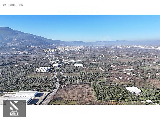 Kemalpaşa M.Akif Ersoy Satılık 7.250 m2 Bahçe Tek Tapu - İZMİR KEMALPAŞA fotoğraf 21