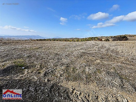 Resmi Yollu Arazi Araç takaslı - BİLECİK YENİPAZAR fotoğraf 8