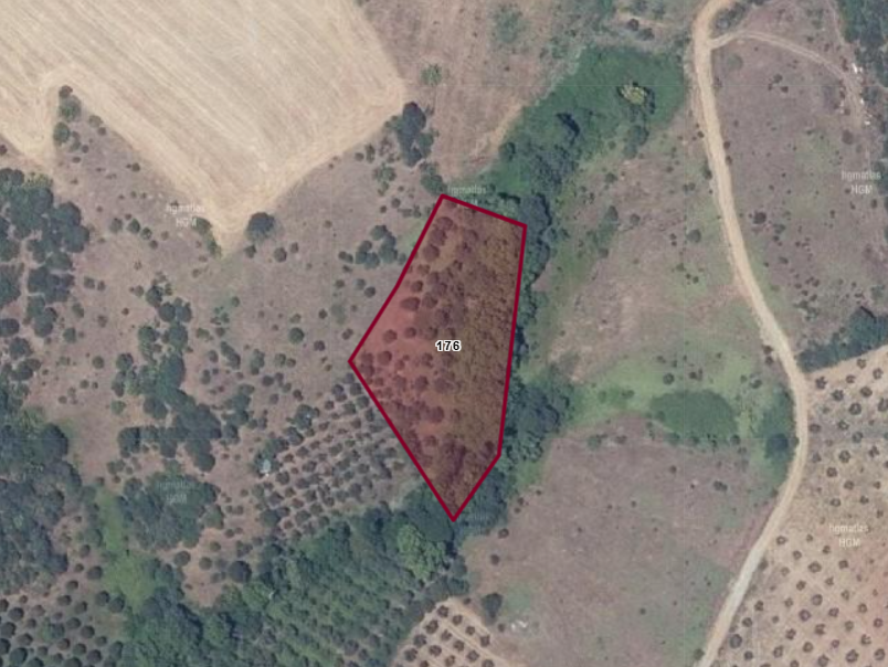 BURSA KARACABEY YEŞİLDERE KÖYÜNDE 3.600 M² TARLA SATILIKTIR - BURSA KARACABEY fotoğraf 7