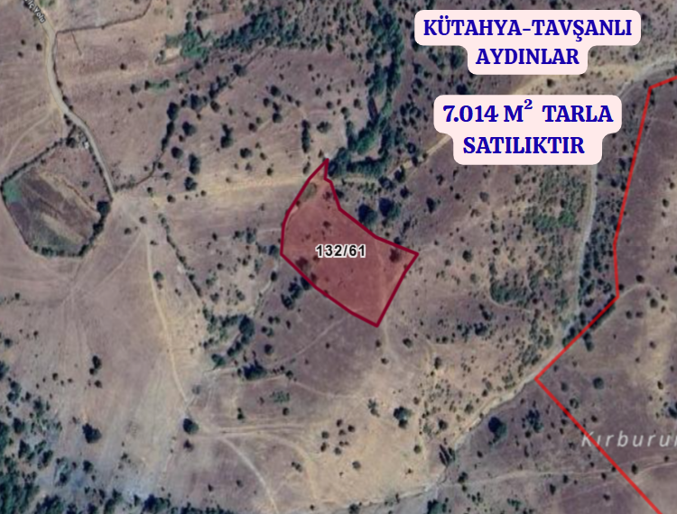 KÜTAHYA TAVŞANLI AYDINLAR  KÖYÜNDE 7.014 M²  TARLA  SATILIKTIR - KÜTAHYA TAVŞANLI fotoğraf 2