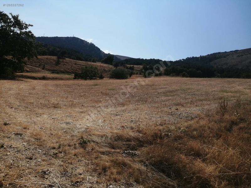 TAŞKESTİ EMLAKTAN 4384 M2 TARLA - BOLU MUDURNU fotoğraf 7