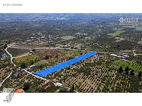 Seferihisar Merkeze 1km İmara 600 metre mesafede 22 dönüm arazi - İZMİR SEFERİHİSAR fotoğraf 2