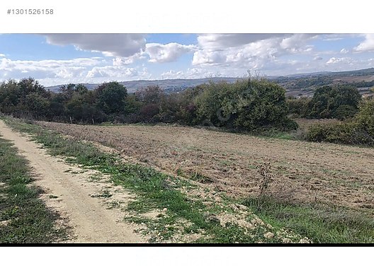 Çatalca Kabakça'da 1505 m² Satılık Tarla - Yatırım Fırsatı! - İSTANBUL ÇATALCA fotoğraf 4