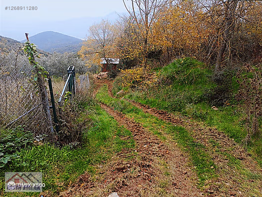 FATİH EMLAKTAN ŞAHİNYURDUNDA 956M2 SATILIK ZEYTİNLİK - BURSA GEMLİK fotoğraf 3