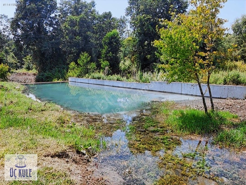 GÖL KENARINDA 4 KATLI LÜKS VİLLA, 14 DÖNÜM ARSA - MUĞLA KÖYCEĞİZ fotoğraf 5