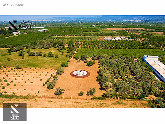 Kemalpaşa Armutlu Satılık 2300 m2 Bahçe Müstakil Parsel Tek Tapu - İZMİR KEMALPAŞA fotoğraf 32