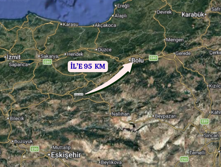 BOLU GÖYNÜK ÇAYLAK    KÖYÜNDE 768  M²  TARLA  SATILIKTIR - BOLU GÖYNÜK fotoğraf 7