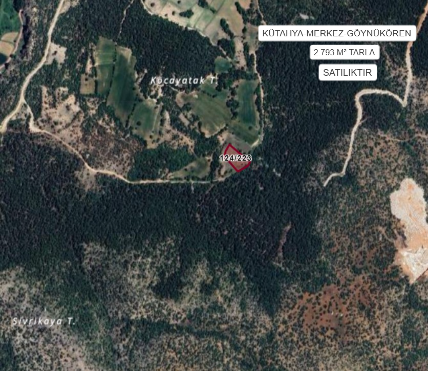 KÜTAHYA MERKEZ GÖYNÜKÖREN  KÖYÜ’NDE 2.793 M² TARLA SATILIKTIR - KÜTAHYA MERKEZ fotoğraf 2