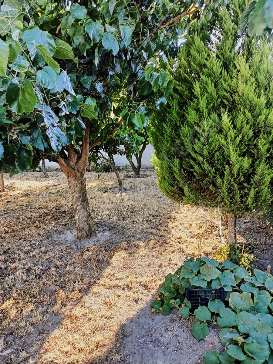 DOSTLAR GAYRİMENKUL DEN SÜLEYMANLI DA ARSA - MANİSA AKHİSAR fotoğraf 27
