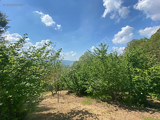 BURSA M.KEMALPAŞA KURŞUNLU  7.300 M² TARLA SATILIKTIR. - BURSA MUSTAFAKEMALPAŞA fotoğraf 9