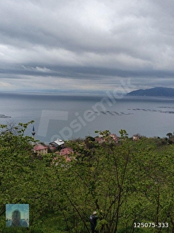 perşembe kaleyka mah 12 daire lik arazi satılık. - ORDU PERŞEMBE fotoğraf 3