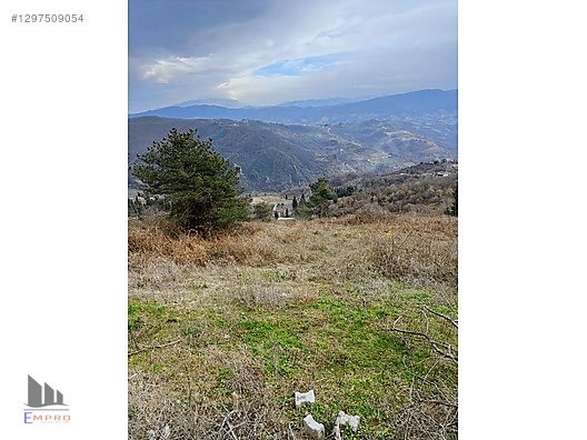GÖLCÜK HAMİDİYEDE SATILIK ARAZİ - KOCAELİ GÖLCÜK fotoğraf 12