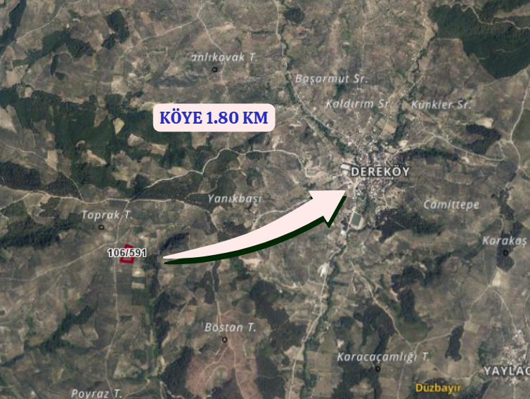 BURSA MUDANYA DEREKÖY   KÖYÜNDE 8.768 M² ZEYTİNLİK SATILIKTIR. - BURSA MUDANYA fotoğraf 4