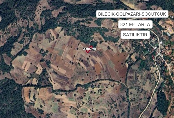 BİLECİK GÖLPAZARI SÖĞÜTCÜK KÖYÜ’NDE 821 M² TARLA SATILIKTIR - BİLECİK GÖLPAZARI fotoğraf 2
