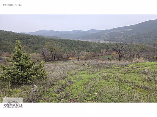 RESMİ YOLLU 800 M2 MANZARALI HOBİ BAHÇESİ - BİLECİK GÖLPAZARI fotoğraf 12