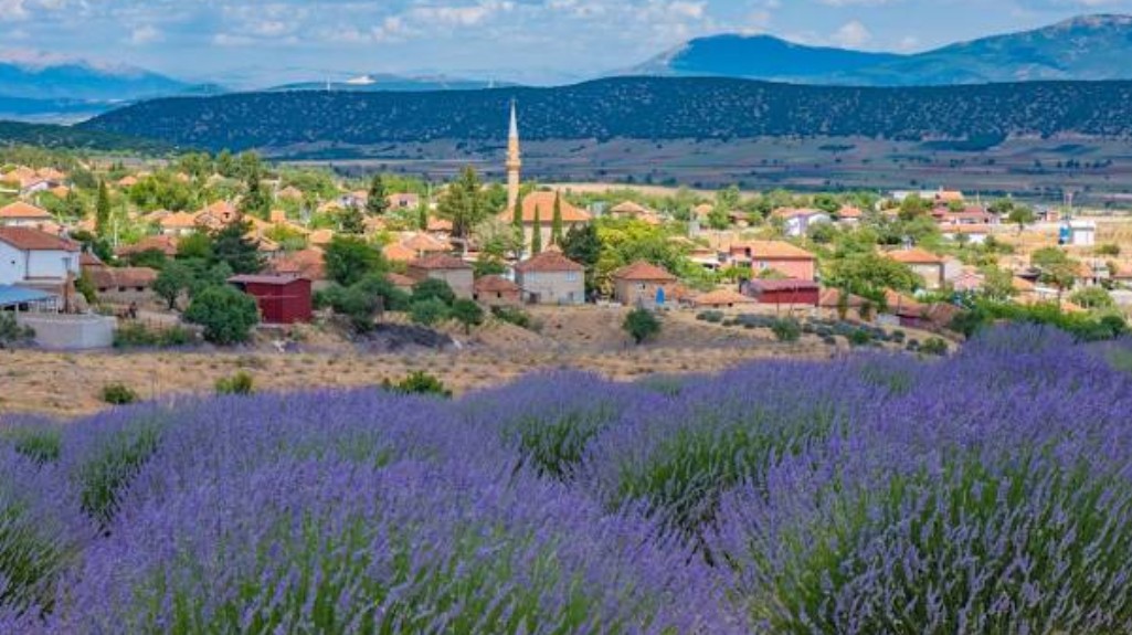 ISPARTA KEÇİBORLU KILIÇ KÖYÜ’NDE 523 M² TARLA SATILIKTIR - ISPARTA KEÇİBORLU fotoğraf 11