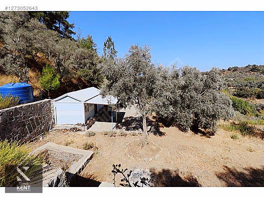 Kemalpaşa Aşağıkızılca Satılık 4536 m2 Bahçe - İZMİR KEMALPAŞA fotoğraf 9