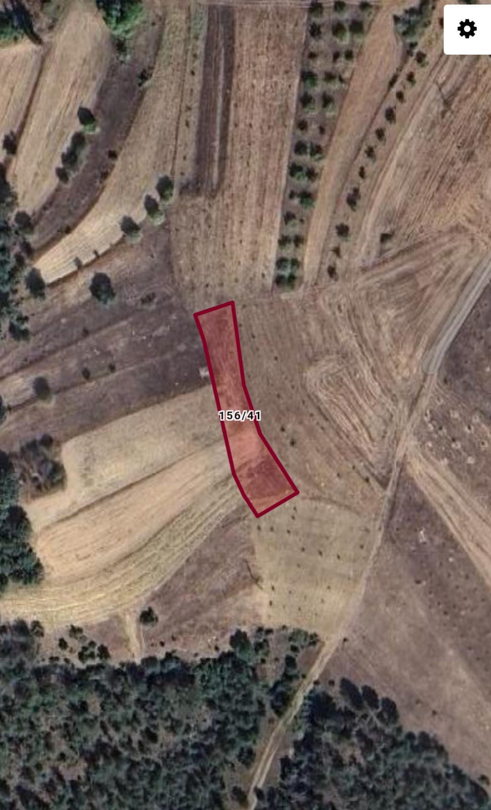  BİLECİK GÖLPAZARI ARMUTÇUK KÖYÜ 1.0072M² TARLAMIZ SATILIK - BİLECİK GÖLPAZARI fotoğraf 4