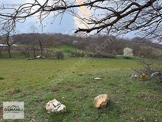 KÖYÜN YANINA ELEKTRİK SU OLAN 4 DÖNÜM FIRSAT ÇİFTLİK ARAZİSİ !!! - BİLECİK SÖĞÜT fotoğraf 2
