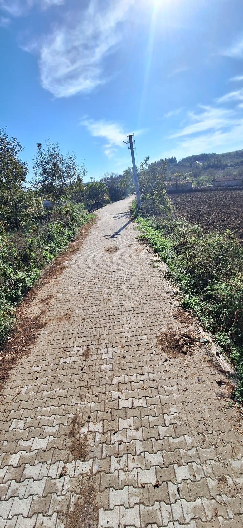 SAHİBINDEN FEVZİYEDE 52246M2 - YALOVA ALTINOVA fotoğraf 7