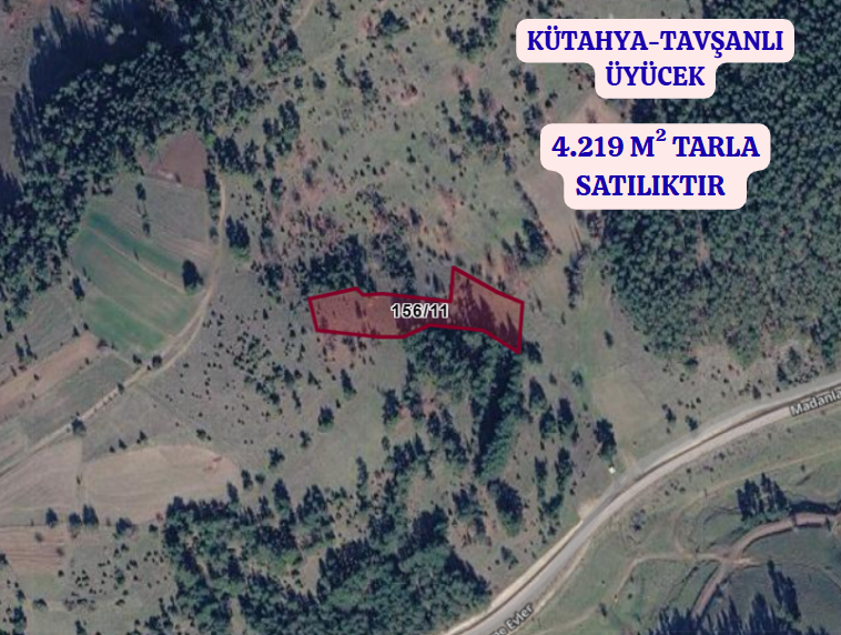 İlan Resmi