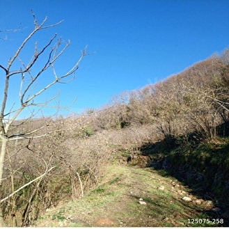 2000m2 İKİ EV YAPILAN İMARLI ARAZİ SATILIK.Beyazkum plajına on dakika yürüme. - ORDU PERŞEMBE fotoğraf 2