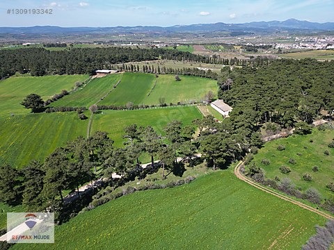 Çanakkale Bayramiç Kutluoba Satılık Tarla - ÇANAKKALE BAYRAMİÇ fotoğraf 4