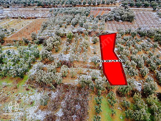 BÖLGE UZMANI HAS EMLAK tan SATILIK TEK TAPU ARAZİ - BURSA İZNİK fotoğraf 26