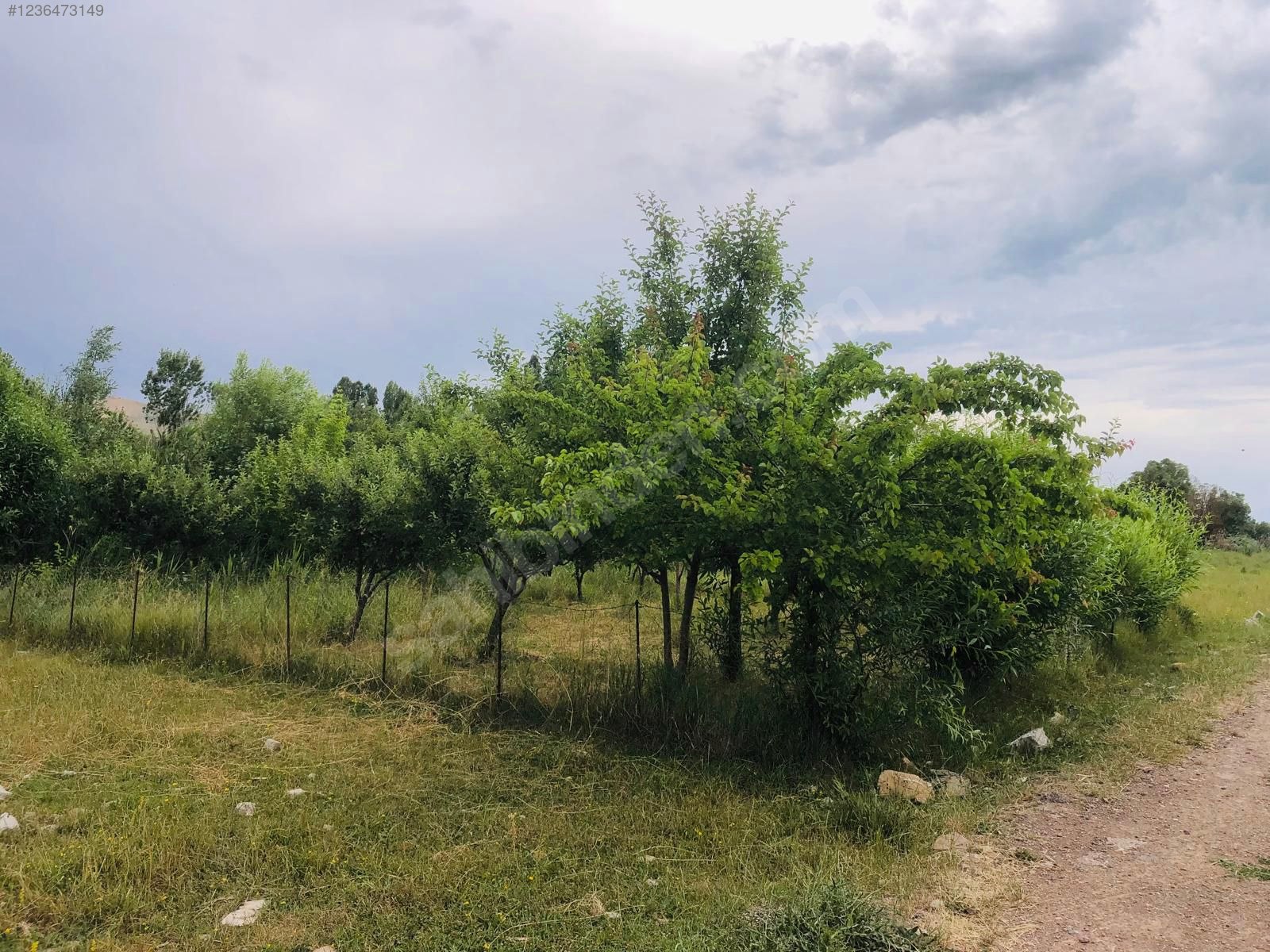 VAN GEVAŞ BAHÇELİEVLER  KÖYÜNDE 556 M² ARSAMIZ SATILIKTIR. - VAN GEVAŞ fotoğraf 7