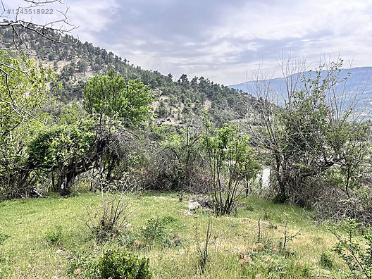   Karaman / Ermenek / Yalındal Köyü 809M² BAHÇE SATILIKTIR.  - KARAMAN ERMENEK fotoğraf 2
