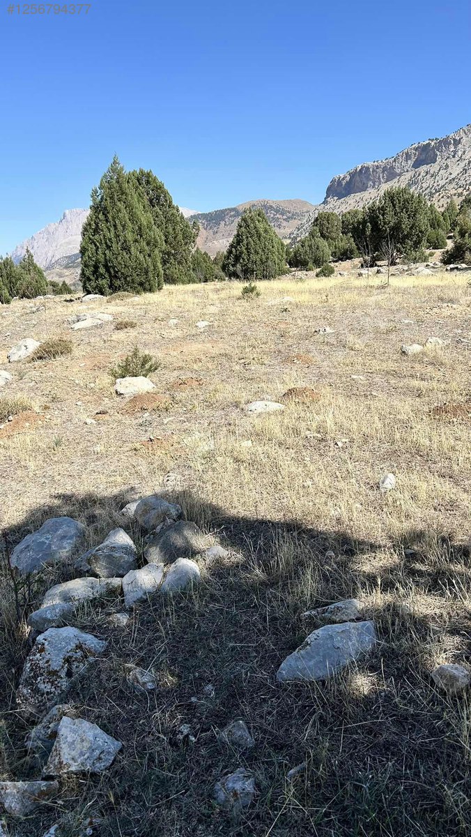 Pozantı Fenese Yaylasında Mükemmel Düz Zemin Harika Acil Kaçmaz 400M²  ARSA - ADANA POZANTI fotoğraf 9