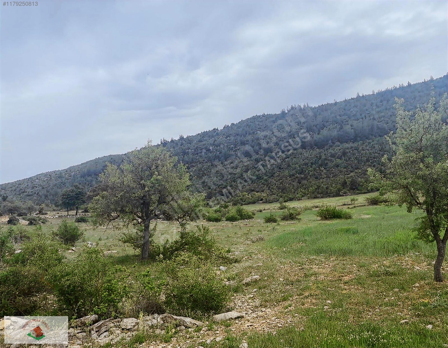 Ev villa yapımına uygun Çamlıyayla Sarıkavak civarında Yaylalık - MERSİN ÇAMLIYAYLA fotoğraf 2