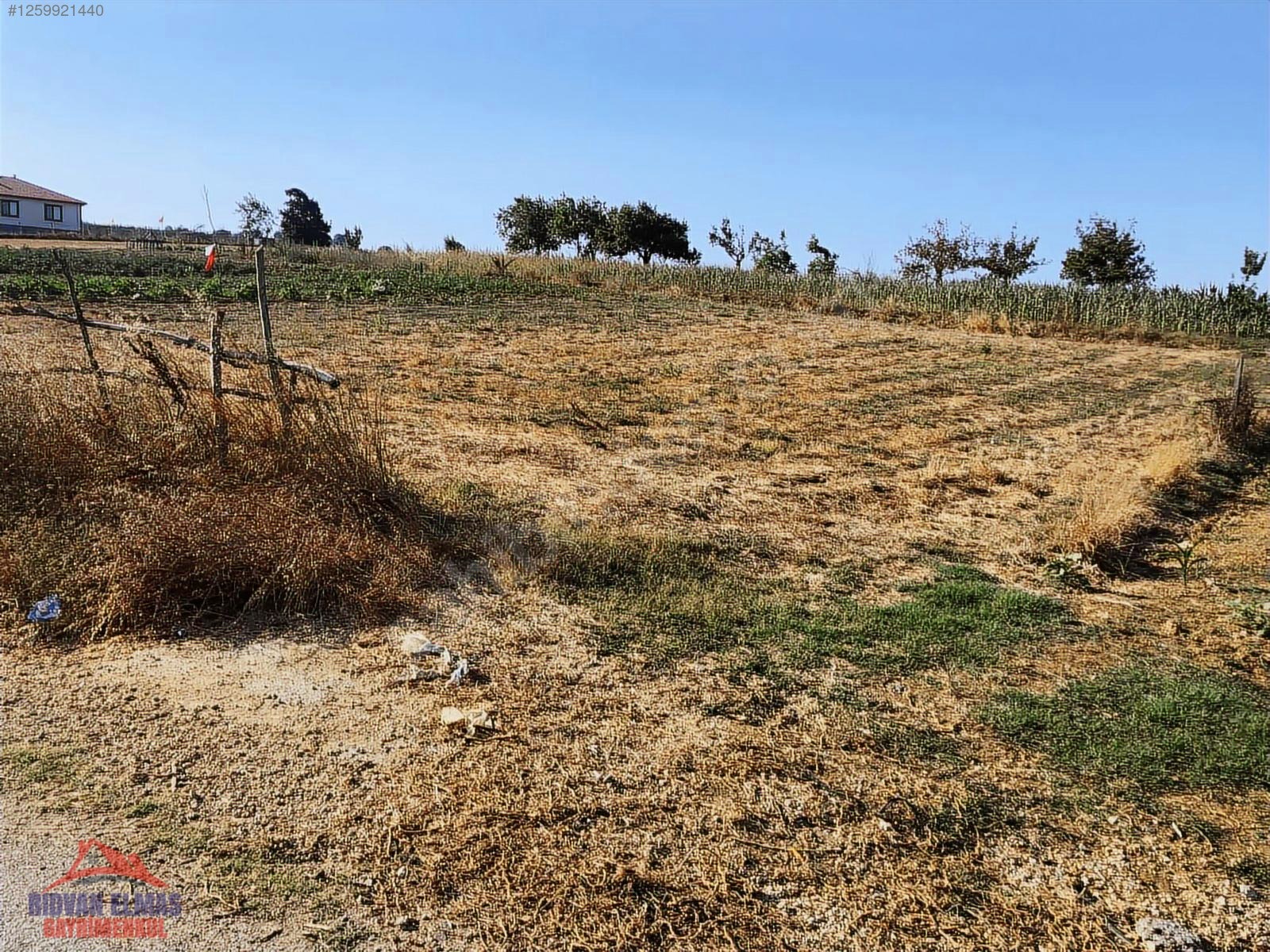 Kandıra Kırkarmut Ana Yola Cephe Satılık Arsa - KOCAELİ KANDIRA fotoğraf 9