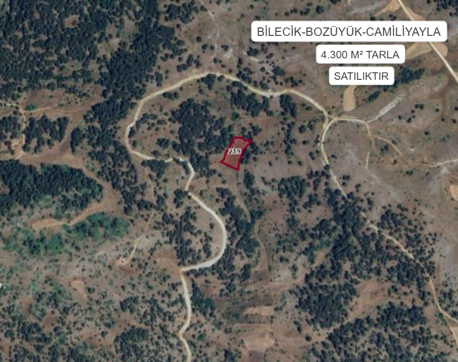 BİLECİK BOZÜYÜK CAMİLİYAYLA KÖYÜ ’NDE 4.300 M² TARLA SATILIKTIR - BİLECİK BOZÜYÜK fotoğraf 2
