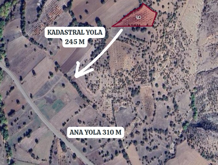 KÜTAHYA ŞAPHANE ÜÇBAŞ'DA 4.500M² KİRAZ/ VİŞNE TARLASI SATILIKTIR - KÜTAHYA ŞAPHANE fotoğraf 3