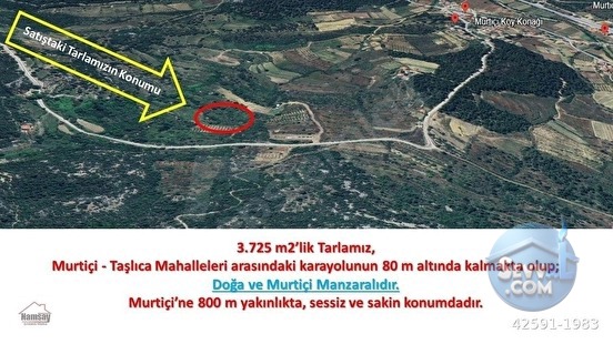 Murtiçine Yakın Konumda Acil Satılık Tarla - ANTALYA AKSEKİ fotoğraf 25