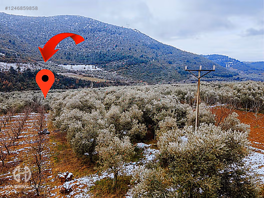 BÖLGE UZMANI HAS EMLAK tan SATILIK TEK TAPU ARAZİ - BURSA İZNİK fotoğraf 29